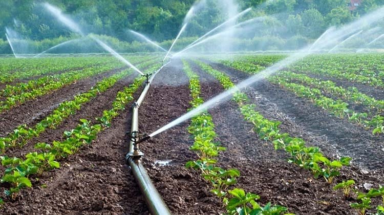 Sistema de riego en funcionamiento sobre un área de cultivo